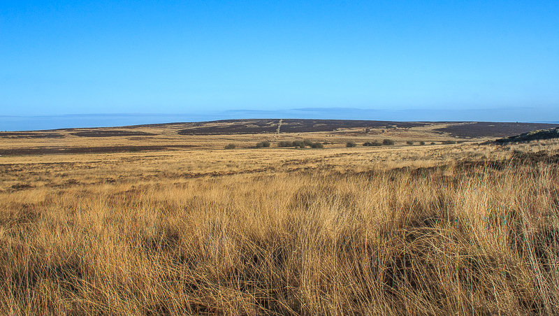 Totley Moss Totley Moss